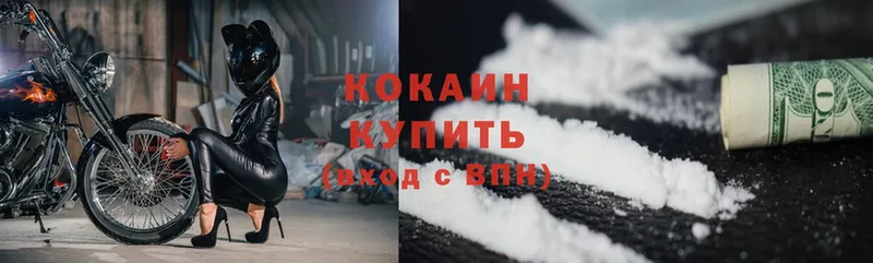 сколько стоит  Ревда  Cocaine FishScale 